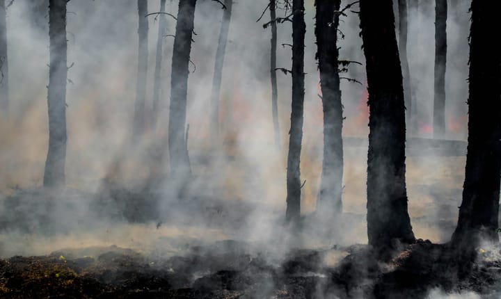 Beadbi Incident Response: Mitigating Our Failure to Prevent